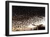 Starlings (Sturnus Vulgaris) Flocking Above Urban Streetlights at Dusk-Paul Hobson-Framed Photographic Print