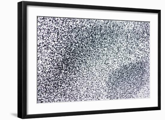 Starlings-null-Framed Photographic Print