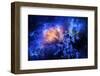 Starry Deep Outer Space Nebual and Galaxy-clearviewstock-Framed Photographic Print
