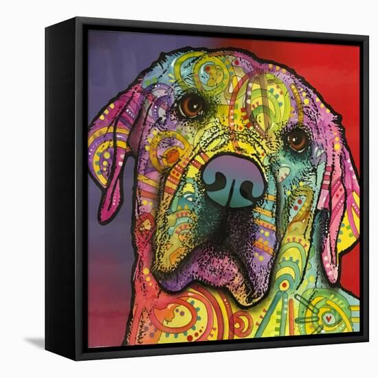 Starry Lab-Dean Russo-Framed Stretched Canvas