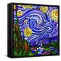 Starry Night 1-Howie Green-Framed Stretched Canvas