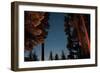 Starry Night I-Erin Berzel-Framed Photographic Print