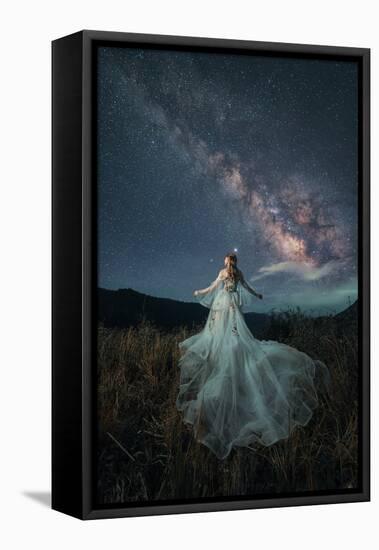 Starry night-liu xing-Framed Stretched Canvas