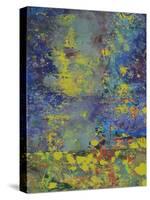 Starry Night-Ricki Mountain-Stretched Canvas