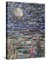 Starry Night-Kirstie Adamson-Stretched Canvas