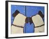 Starry Night-Jennie Cooley-Framed Giclee Print