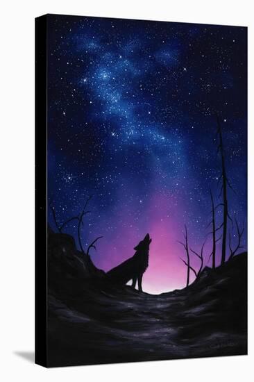 Starry Nights-Chuck Black-Stretched Canvas