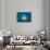 Starry Puffer over Maldive Victory Wreck-Reinhard Dirscherl-Framed Stretched Canvas displayed on a wall