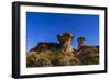 Starry Sky Above Hoodoo Formations at Dinosaur Provincial Park, Canada-null-Framed Photographic Print