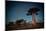 Starry Sky and Baobab Trees Highlighted by Moon. Madagascar-Dudarev Mikhail-Mounted Photographic Print