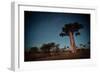 Starry Sky and Baobab Trees Highlighted by Moon. Madagascar-Dudarev Mikhail-Framed Photographic Print