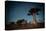 Starry Sky and Baobab Trees Highlighted by Moon. Madagascar-Dudarev Mikhail-Stretched Canvas