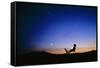 Starry Sky And Stargazer-David Nunuk-Framed Stretched Canvas