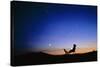 Starry Sky And Stargazer-David Nunuk-Stretched Canvas