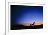 Starry Sky And Stargazer-David Nunuk-Framed Photographic Print