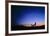 Starry Sky And Stargazer-David Nunuk-Framed Photographic Print