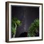 Starry Sky in Milford Fictile, Fiordland National Park, Southland, South Island, New Zealand-Rainer Mirau-Framed Photographic Print