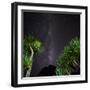 Starry Sky in Milford Fictile, Fiordland National Park, Southland, South Island, New Zealand-Rainer Mirau-Framed Photographic Print