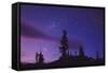 Starry Sky-David Nunuk-Framed Stretched Canvas