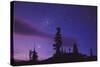 Starry Sky-David Nunuk-Stretched Canvas