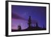 Starry Sky-David Nunuk-Framed Premium Photographic Print