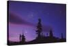 Starry Sky-David Nunuk-Stretched Canvas