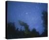 Starry, Starry Night-Orah Moore-Stretched Canvas