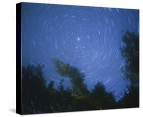 Starry, Starry Night-Orah Moore-Stretched Canvas