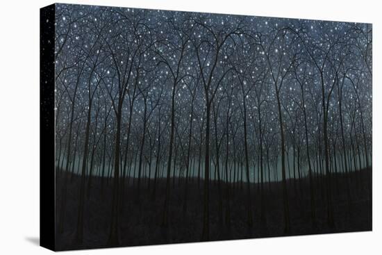 Starry Trees-James W. Johnson-Stretched Canvas