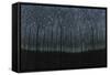 Starry Trees-James W. Johnson-Framed Stretched Canvas