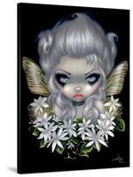 Starry Wild Jasmine Fairy-Jasmine Becket-Griffith-Stretched Canvas