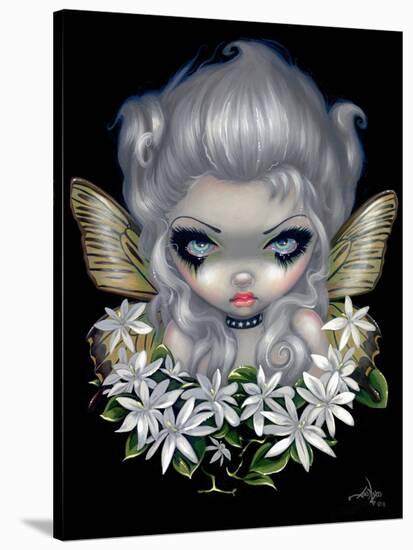 Starry Wild Jasmine Fairy-Jasmine Becket-Griffith-Stretched Canvas