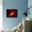 Stars and a Galaxy-Terry Why-Mounted Photographic Print displayed on a wall