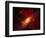 Stars and a Galaxy-Terry Why-Framed Photographic Print