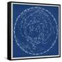 Stars and Constellations Chart-null-Framed Stretched Canvas