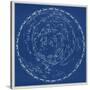 Stars and Constellations Chart-null-Stretched Canvas