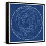 Stars and Constellations Chart-null-Framed Stretched Canvas