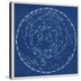 Stars and Constellations Chart-null-Stretched Canvas