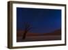 Stars and Dunes-Ali Khataw-Framed Photographic Print