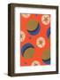 Stars and Moon, Abstract Pattern-Found Image Holdings Inc-Framed Photographic Print