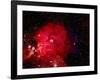 Stars and Nebula-Terry Why-Framed Photographic Print