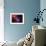 Stars and Nebula-Terry Why-Framed Premium Photographic Print displayed on a wall