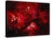 Stars and Nebula-Terry Why-Stretched Canvas