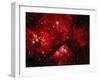 Stars and Nebula-Terry Why-Framed Premium Photographic Print