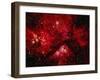 Stars and Nebula-Terry Why-Framed Photographic Print