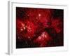 Stars and Nebula-Terry Why-Framed Photographic Print