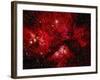 Stars and Nebula-Terry Why-Framed Photographic Print