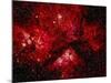 Stars and Nebula-Terry Why-Mounted Photographic Print