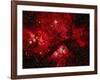 Stars and Nebula-Terry Why-Framed Photographic Print