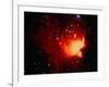 Stars and Nebula-Terry Why-Framed Photographic Print